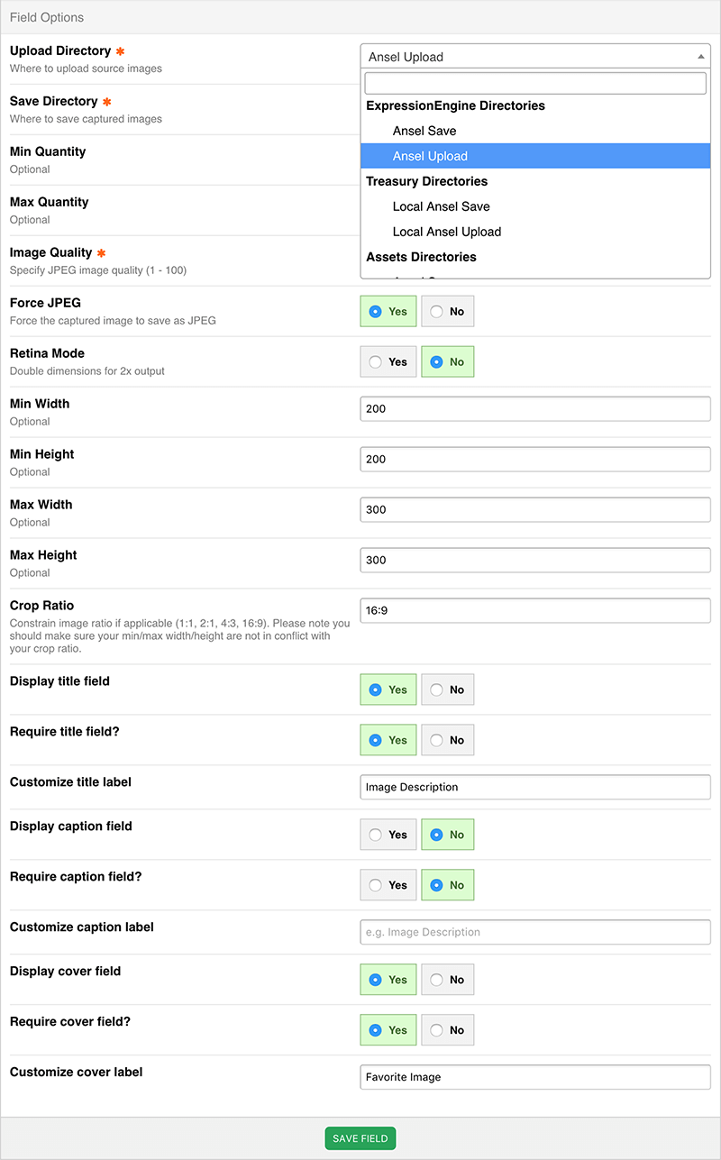 Ansel Field Options